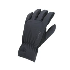 Sealskinz Waterproof All Weather Lightweight Glove Black